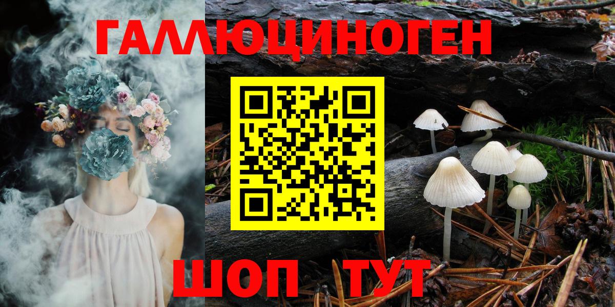 Псилоцибиновые грибы MAGIC MUSHROOMS Заречный