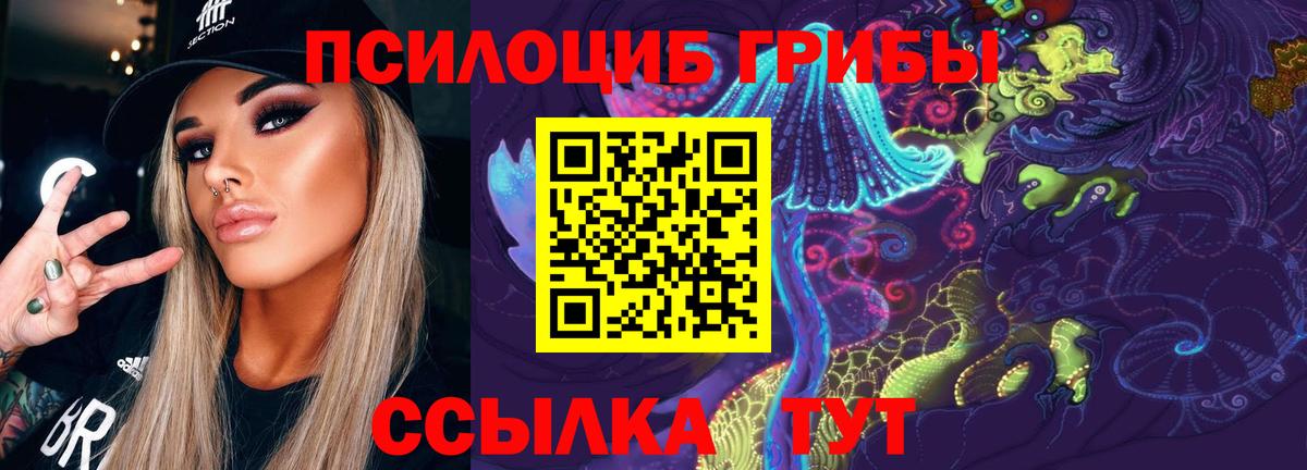 Галлюциногенные грибы MAGIC MUSHROOMS  Галлюциногенные грибы Psilocybine cubensis  Вход с VPN  Заречный 